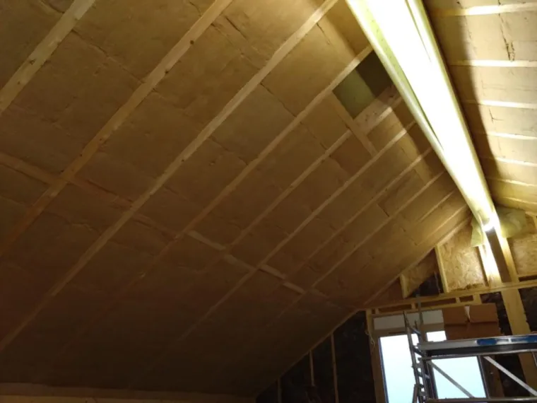 Isolation des combles amènageable, Saint-Julien-en-Genevois, Echo Bois